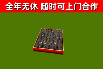 大鹏回收海参